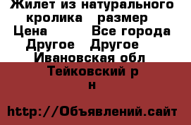 Жилет из натурального кролика,44размер › Цена ­ 500 - Все города Другое » Другое   . Ивановская обл.,Тейковский р-н